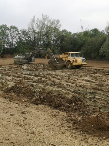 TP LUCAS : Votre Expert en Terrassement et Nivellement à Les Herbiers et Ses Environs